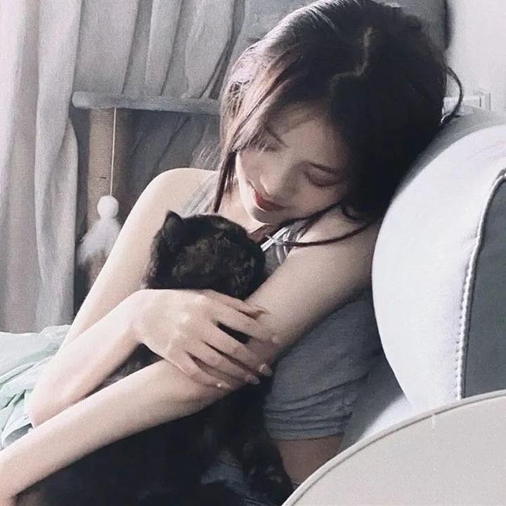时间的桥梁 海报