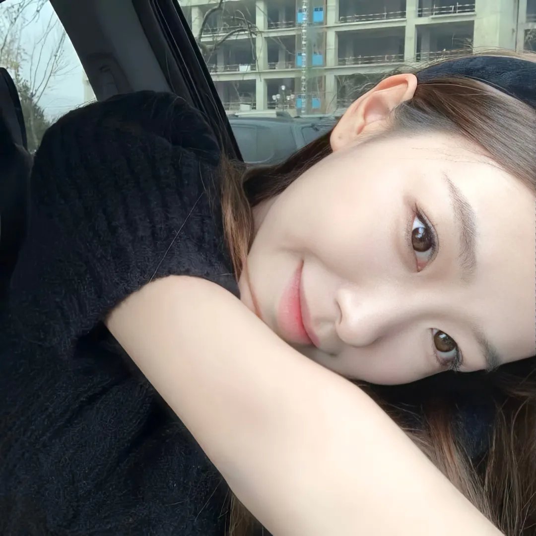 奔流犬：先生归来 海报