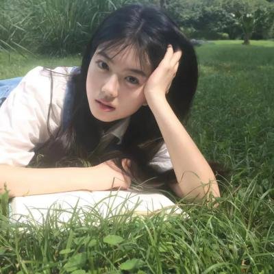 孔雀王朝 海报